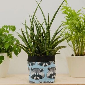 Raccoon print textile plant pot, great condition